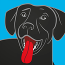BringFido Pet Friendly Hotels APK