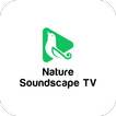 Nature Soundscape TV