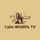 Calm Wildlife TV APK