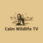Calm Wildlife TV アイコン