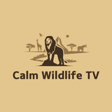 Calm Wildlife TV icon