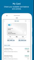 Brink's Business Expense تصوير الشاشة 3