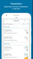 Brink's Business Expense تصوير الشاشة 1