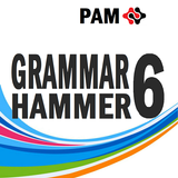 PAM Grammar Hammer 6