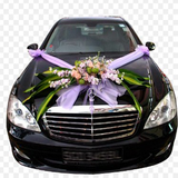 Свадебный Дизайн Автомобиля иконка