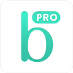 Bridestory Pro (for vendors)