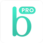 Bridestory Pro 图标