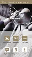 DRF Dressur poster