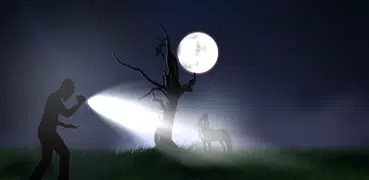 電池 保存 LED 閃- 光