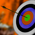Shooting Archery - Master 3D ikona