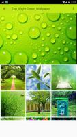 Bright Green Wallpaper syot layar 3