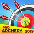 Archery Physics Shooter 2023 icône