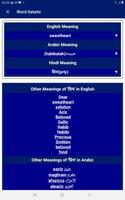 Arabic Hindi Dictionary скриншот 2
