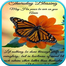 APK Beautiful Bible Verses Everyday