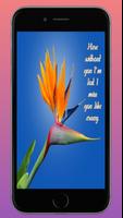 I miss you messages পোস্টার