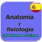 Anatomía y fisiología 2900 con icon