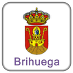 Brihuega Guía Oficial