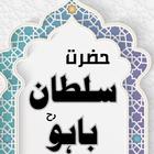 Hazrat Sultan Bahoo –Urdu Book أيقونة