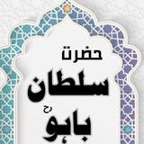 Hazrat Sultan Bahoo –Urdu Book أيقونة