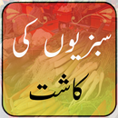 Sabzion Ki Kasht – Urdu Guide APK