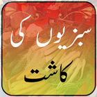 Sabzion Ki Kasht أيقونة