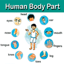 Human Body Parts APK