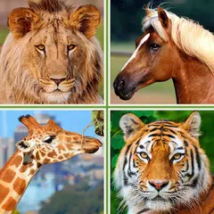 Animals for Kids - Flashcards, Puzzles & Sounds APK download