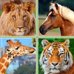 Animals for Kids - Flashcards, Puzzles & Sounds