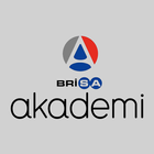 Brisa Akademi icône