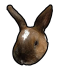 Rabbit Stickers أيقونة