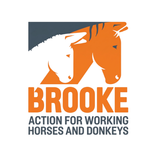 Brooke