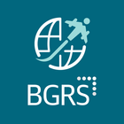 BGRS ReloAccess 图标