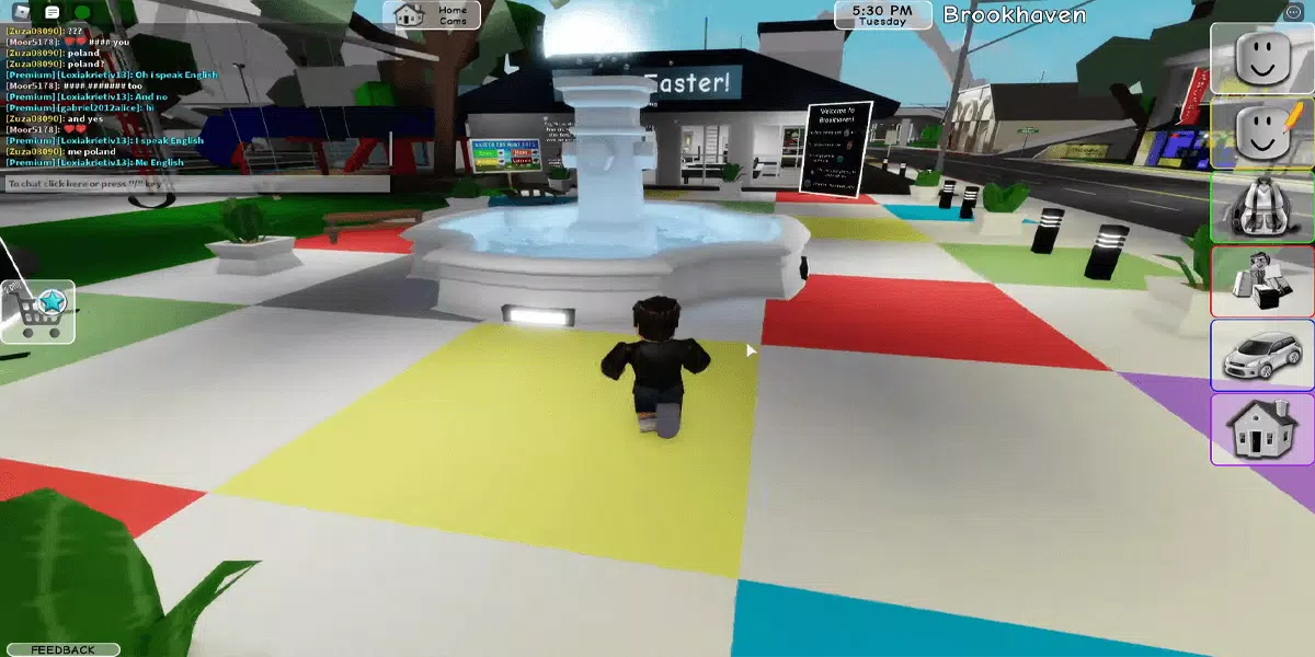 PREMIUM GRÁTIS NO BROOKHAVEN RP!!?(ROBLOX) 