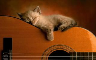 Curso de Guitarra ảnh chụp màn hình 1