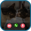 Talk Cat Call Fake Tom