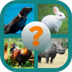 Guess The Animals