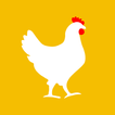BroilerX App - Poultry Partner