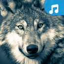 Wolf Ringtone APK