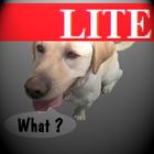 Talkidog Lite icon