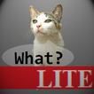 Talkicat Liteの