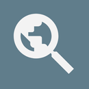 Web Search Customizer APK