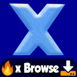 xnBrowse: Video Downloader icono