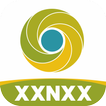 XXNXX  Browser Anti Blokir