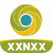 XXNXX  Browser Anti Blokir