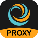 Private Proxy Browser Hub APK