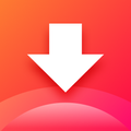 Video Downloader
