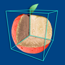 CTvox APK
