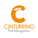 Cinturrino APK