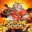 ”Fortune Gods Tiger