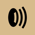 macro.on (Roon Extension)